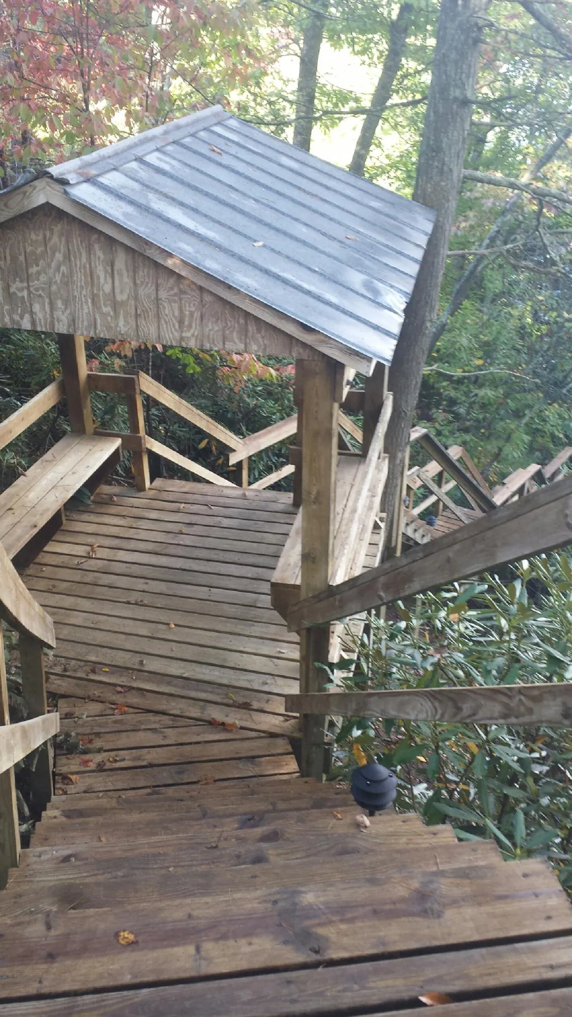 Metal roofed shelter over wooden steps on a wooded walkway — Skylight Repair & Installation work by our crew in Palmer Lake