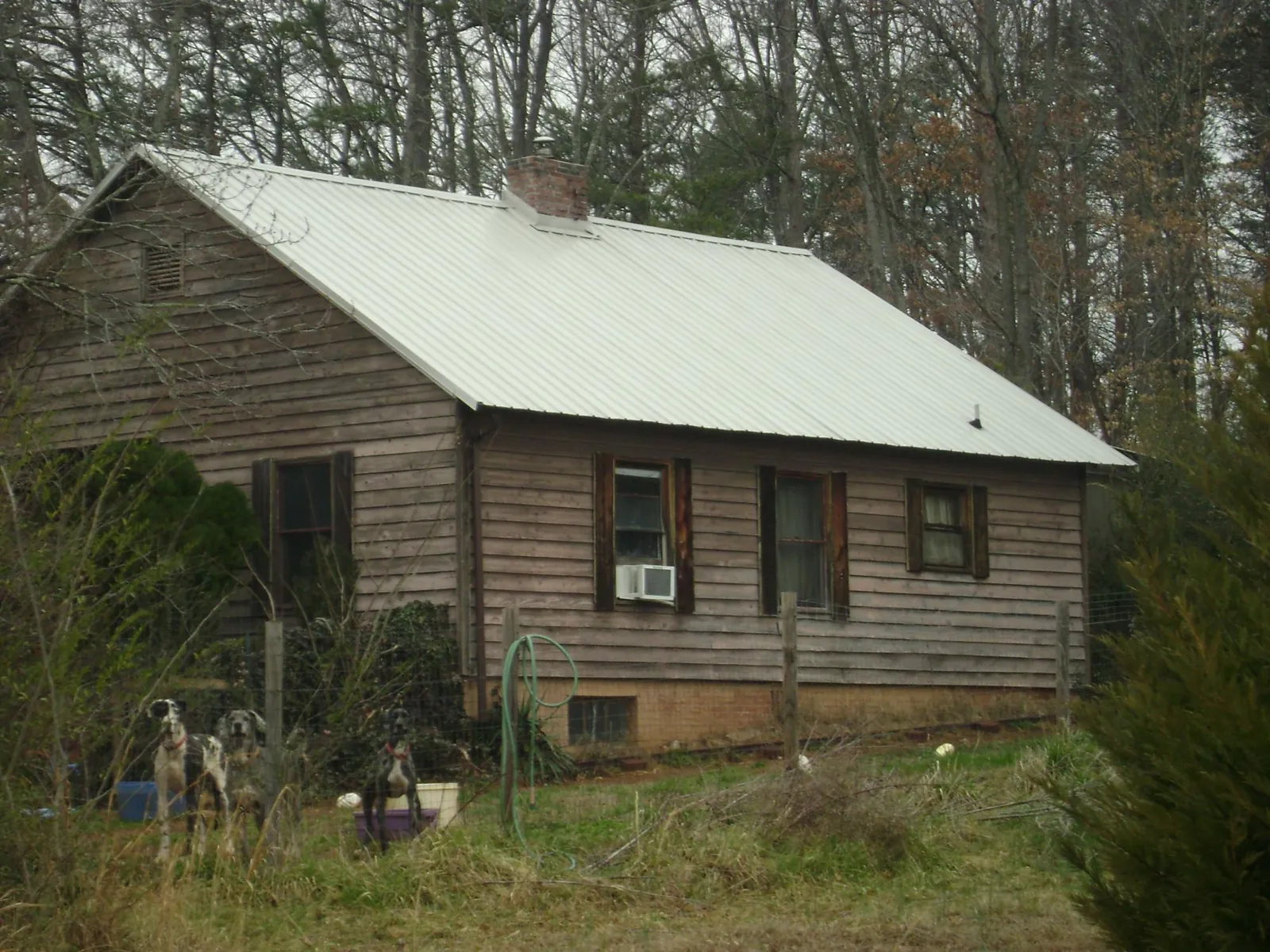 White metal roof on an old wood sided farmhouse, from a Asphalt Shingle Roof Repair job in Palmer Lake
